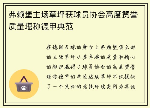 弗赖堡主场草坪获球员协会高度赞誉质量堪称德甲典范